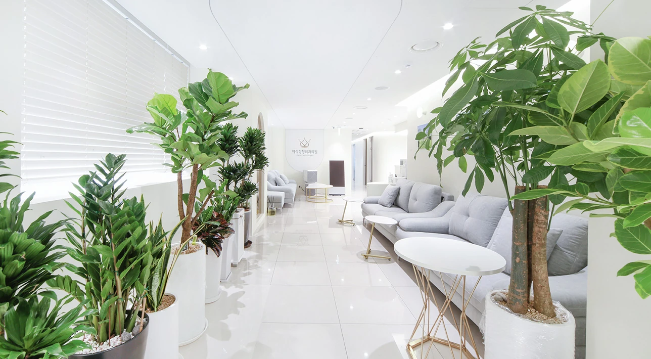 Merry Plastic Surgery entrance and seating area in Gangnam, Seoul